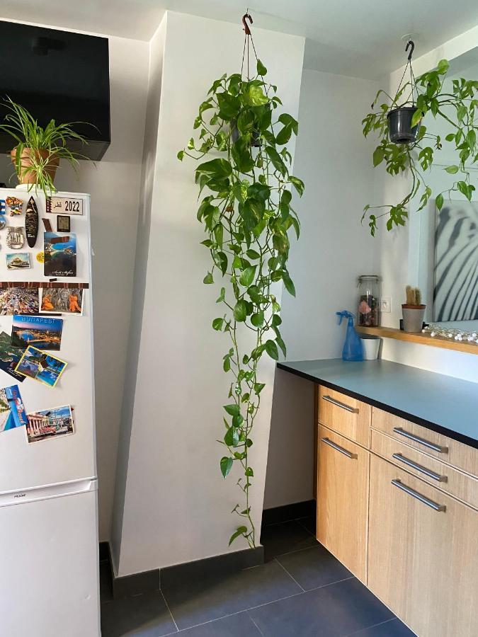 Apartament Grand F2 Avec Vue Sur La Maison De Georges Brassens Paryż Zewnętrze zdjęcie